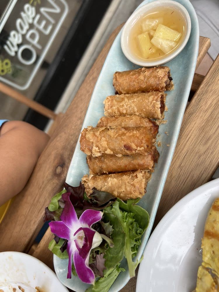 Vietnamese Spring Roll